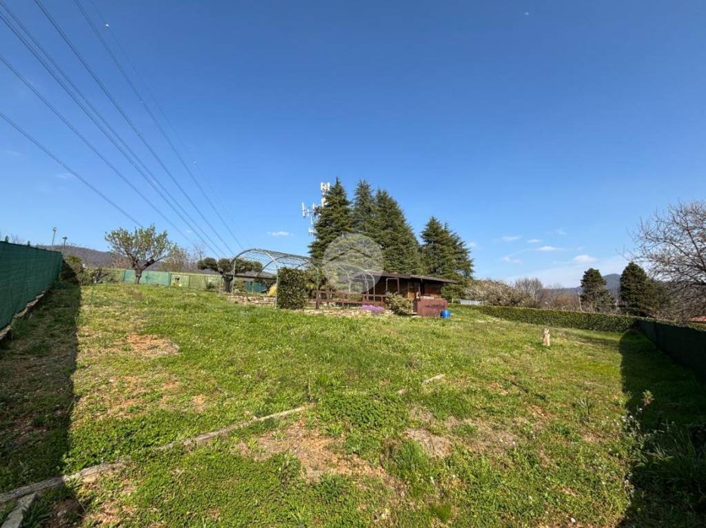 immagine annuncio 9 di 12