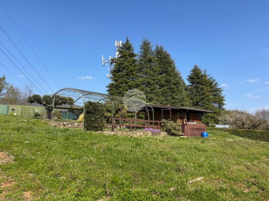 immagine annuncio 10 di 12