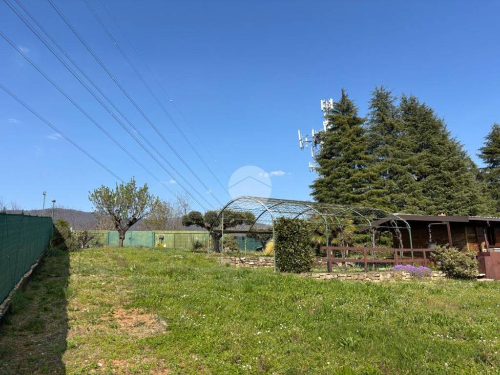 immagine annuncio 11 di 12