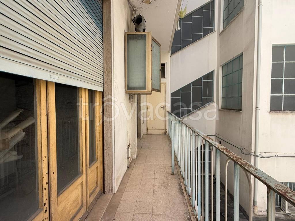 immagine annuncio 5 di 14