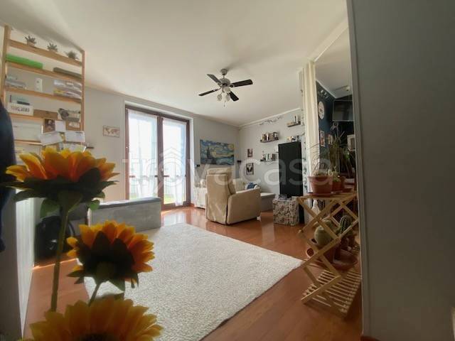 immagine annuncio 3 di 7