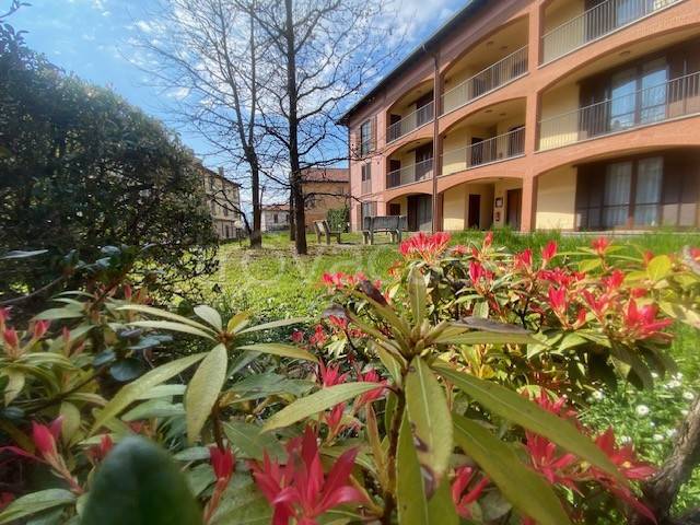 immagine annuncio 5 di 7