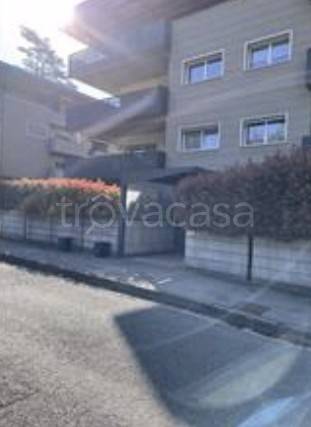 immagine annuncio 1 di 14