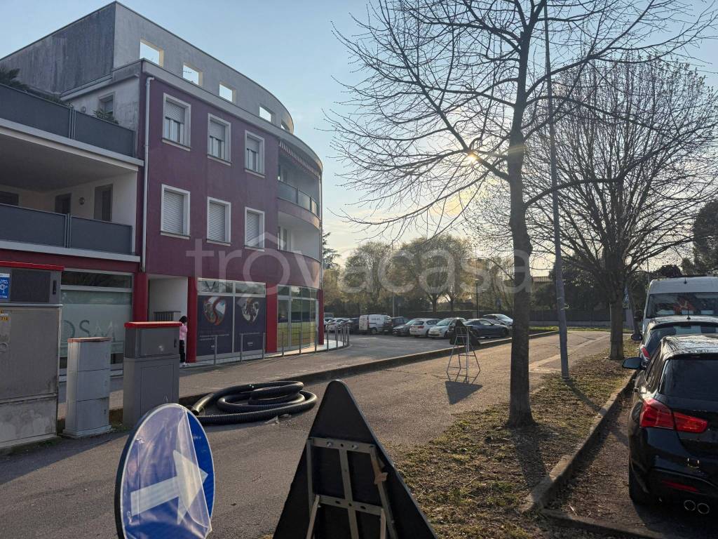 immagine annuncio 9 di 11