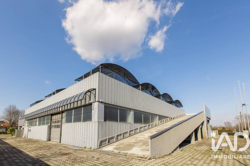 immagine annuncio 10 di 15