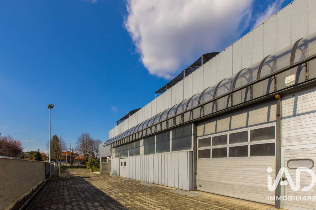 immagine annuncio 11 di 15