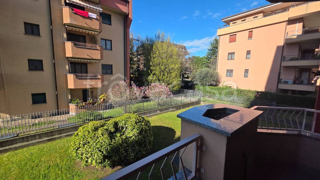 immagine annuncio 6 di 11