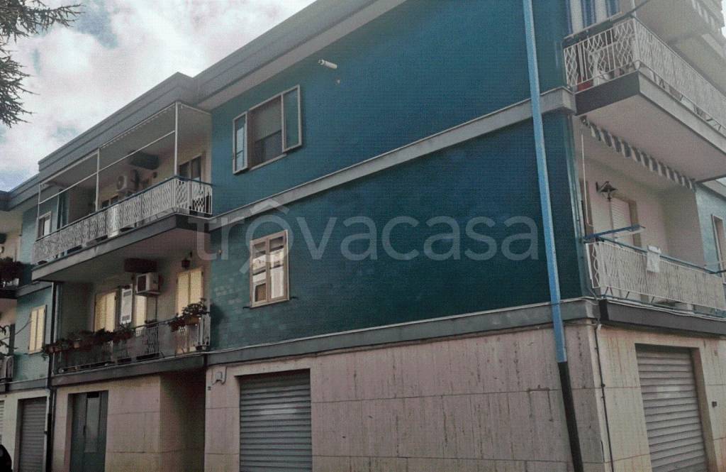 immagine annuncio 9 di 12