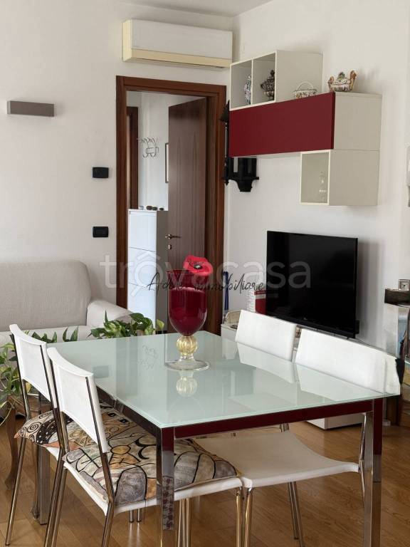 immagine annuncio 6 di 14