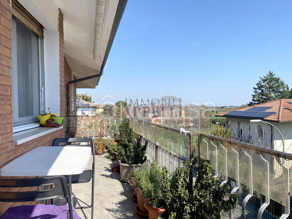 immagine annuncio 2 di 13