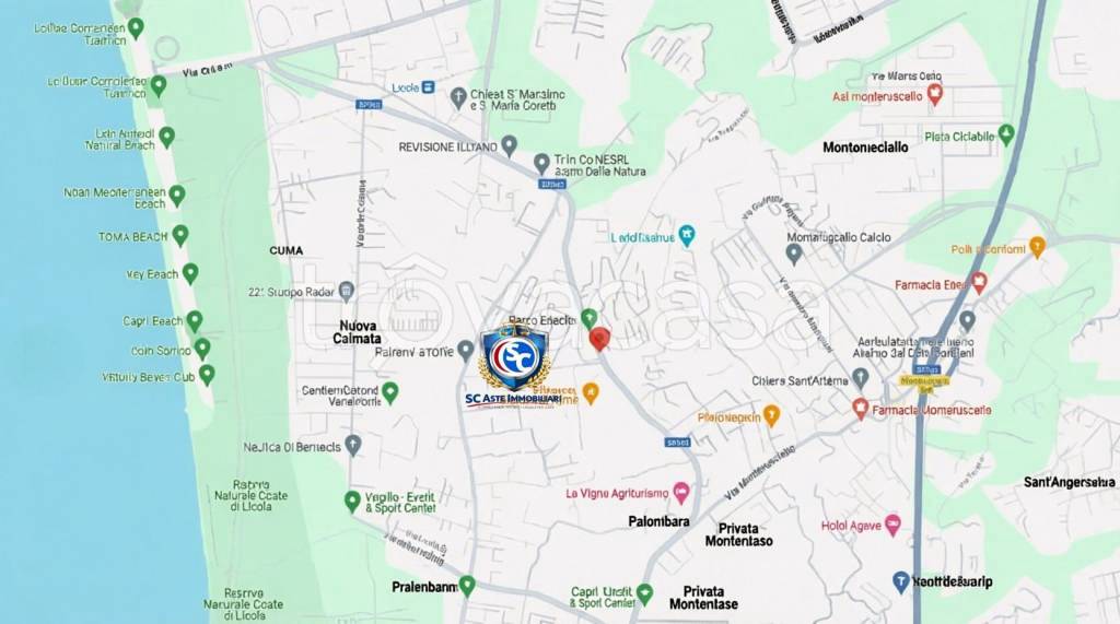 immagine annuncio 10 di 12