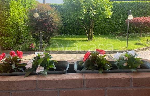 immagine annuncio 7 di 8