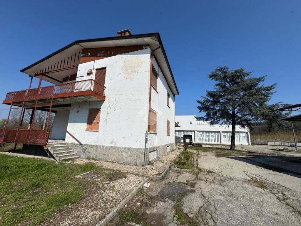 immagine annuncio 7 di 15