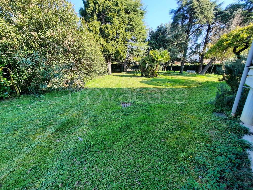 immagine annuncio 3 di 14