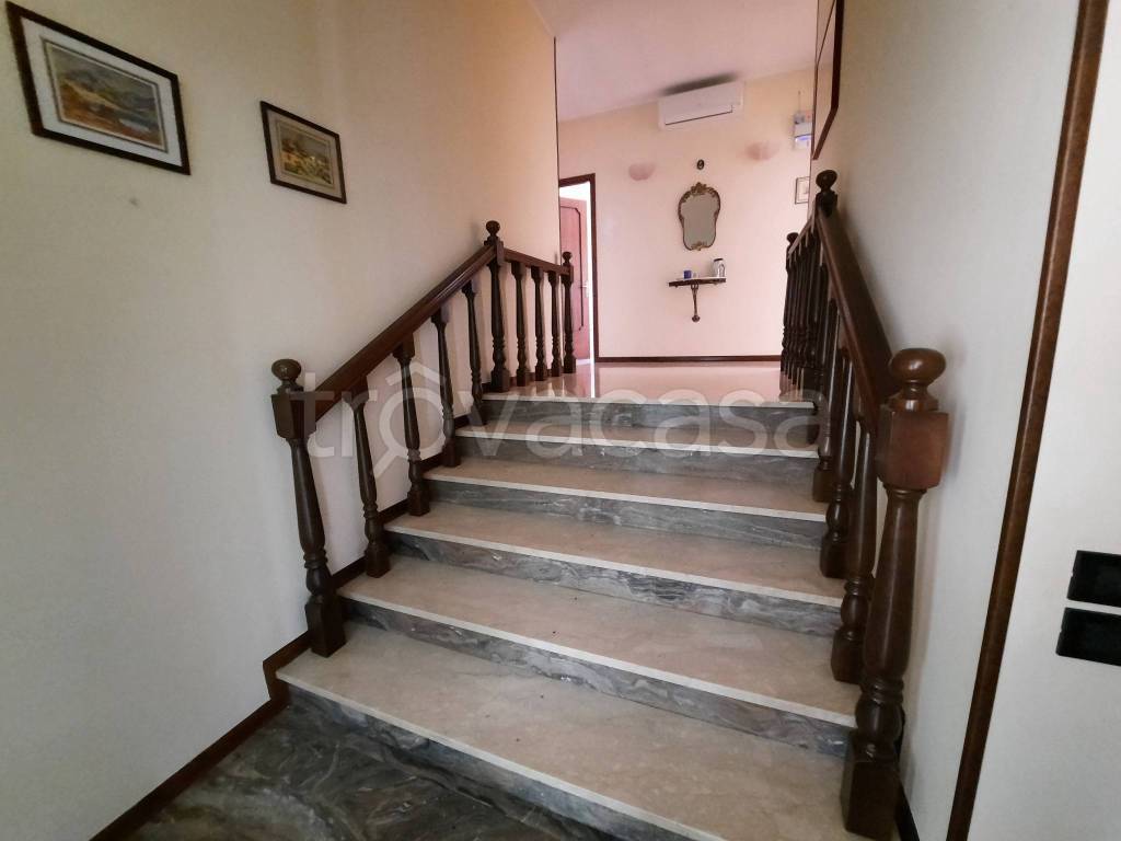 immagine annuncio 8 di 14