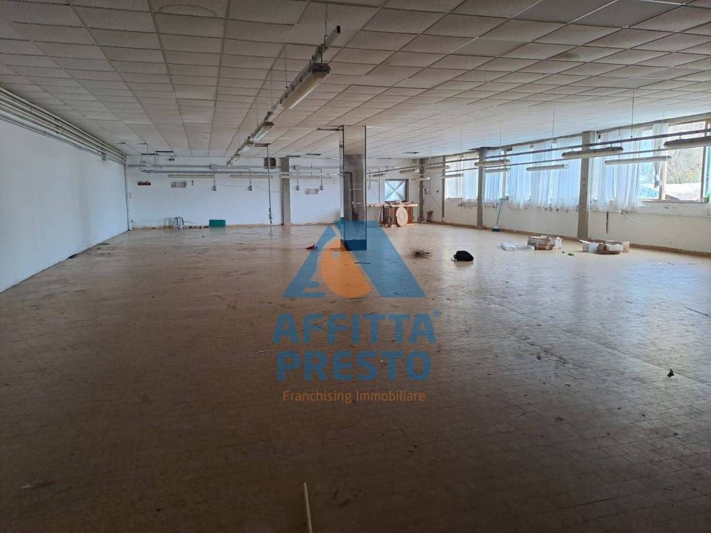 immagine annuncio 3 di 7