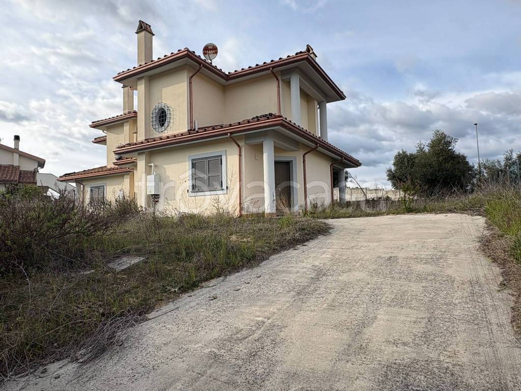 immagine annuncio 4 di 9