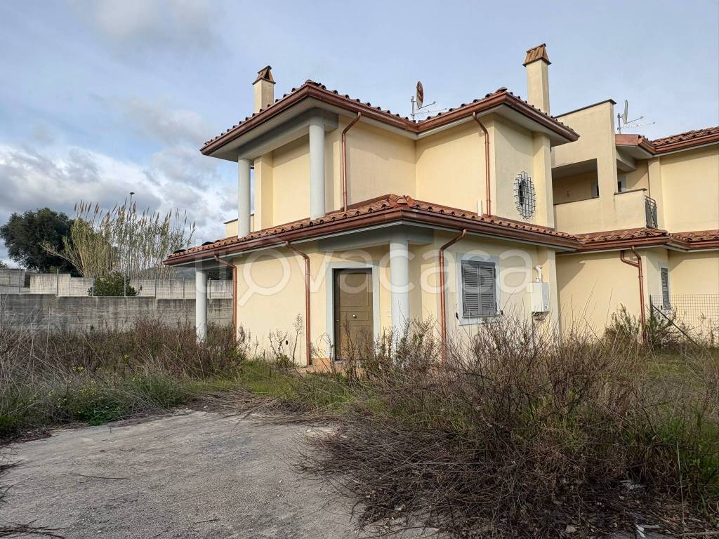 immagine annuncio 5 di 9