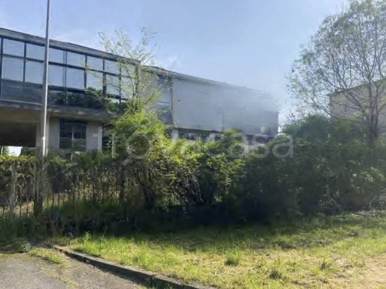 immagine annuncio 6 di 13