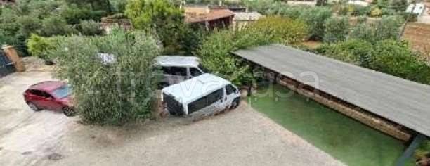 immagine annuncio 3 di 14