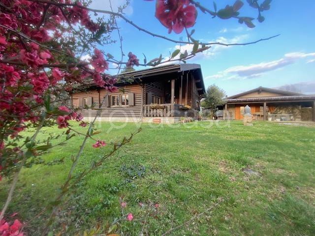 immagine annuncio 1 di 7