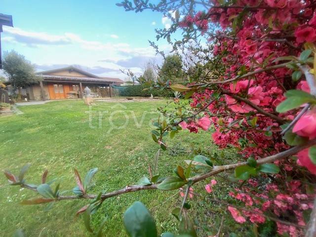 immagine annuncio 2 di 7