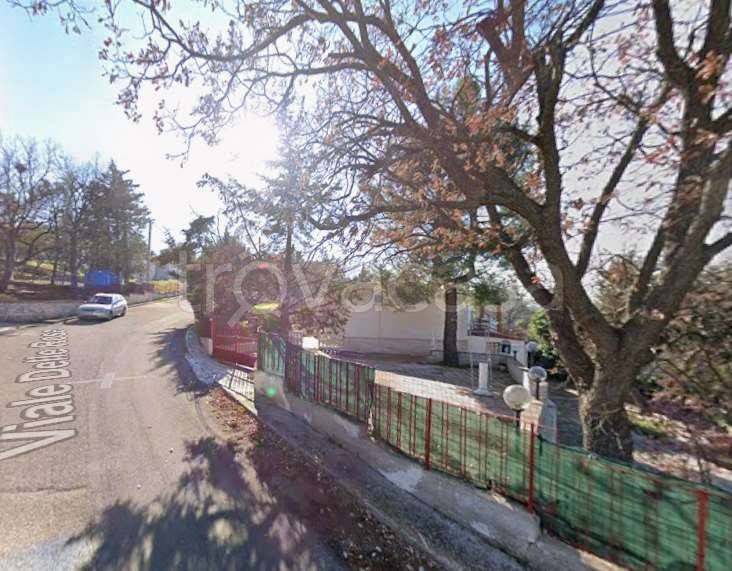 immagine annuncio 2 di 14