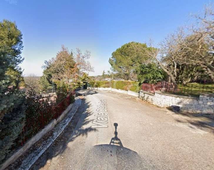 immagine annuncio 5 di 14