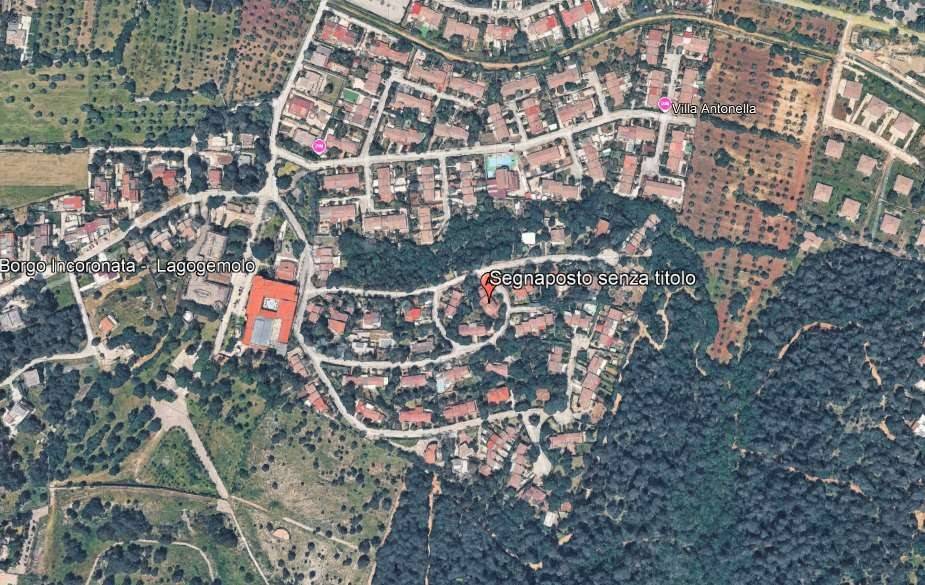 immagine annuncio 6 di 14