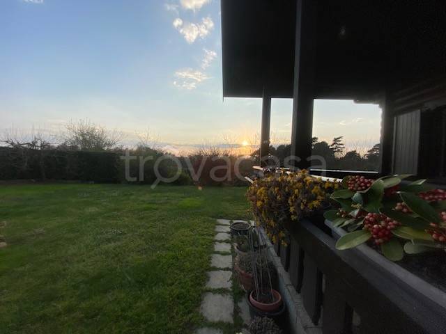 immagine annuncio 5 di 7