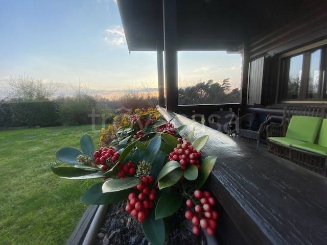 immagine annuncio 4 di 7