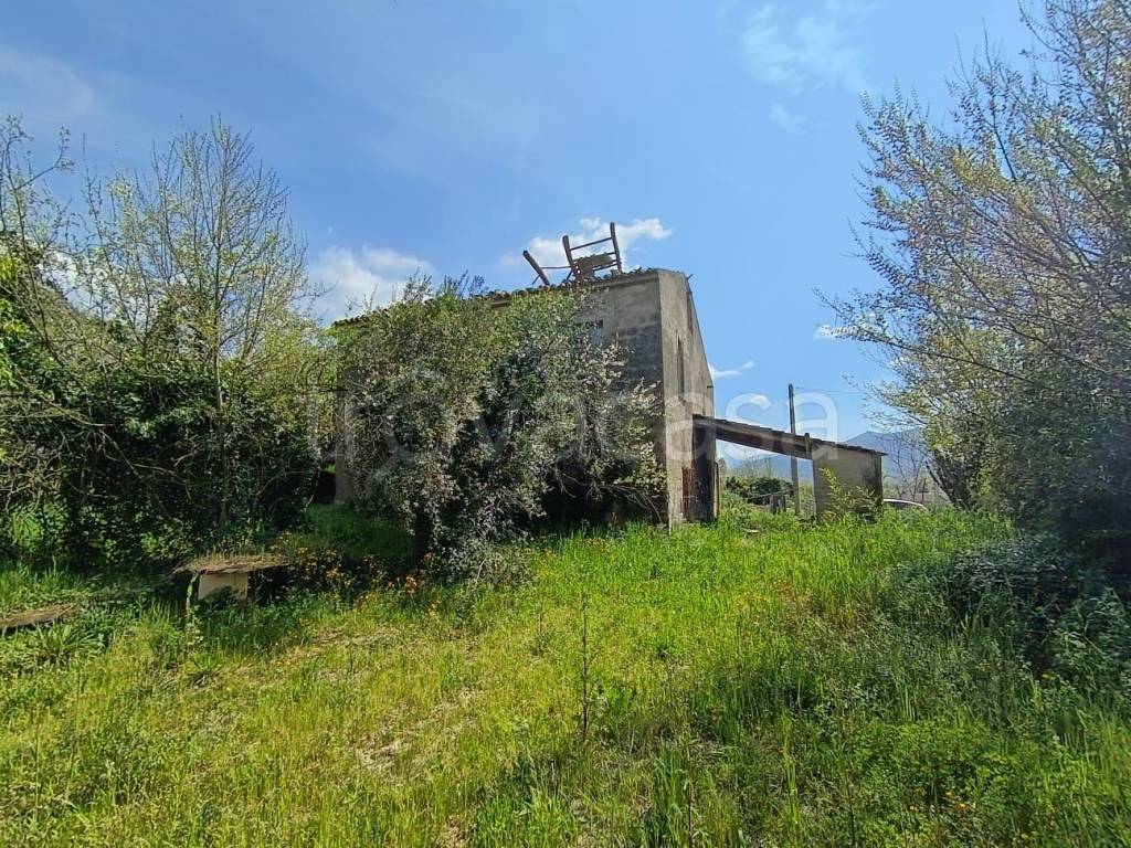 immagine annuncio 2 di 11