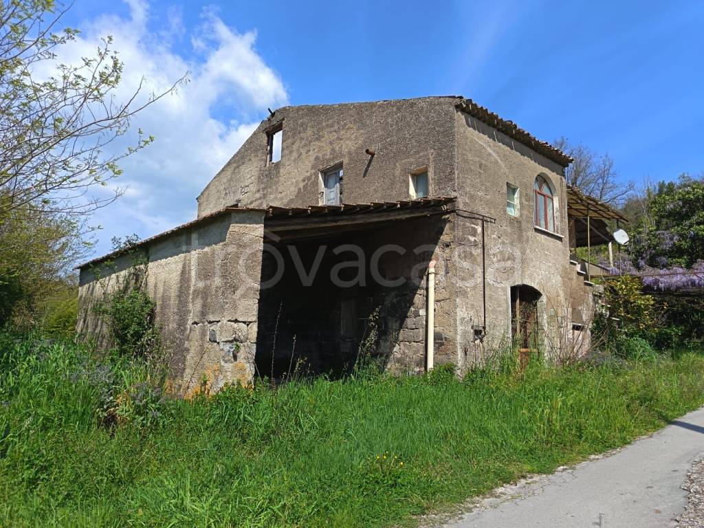 immagine annuncio 5 di 11