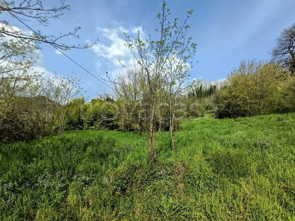 immagine annuncio 6 di 11