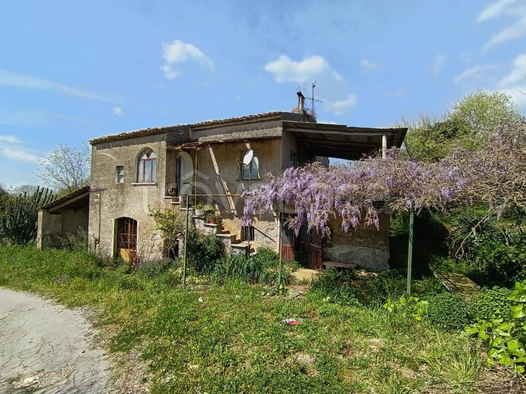 immagine annuncio 7 di 11