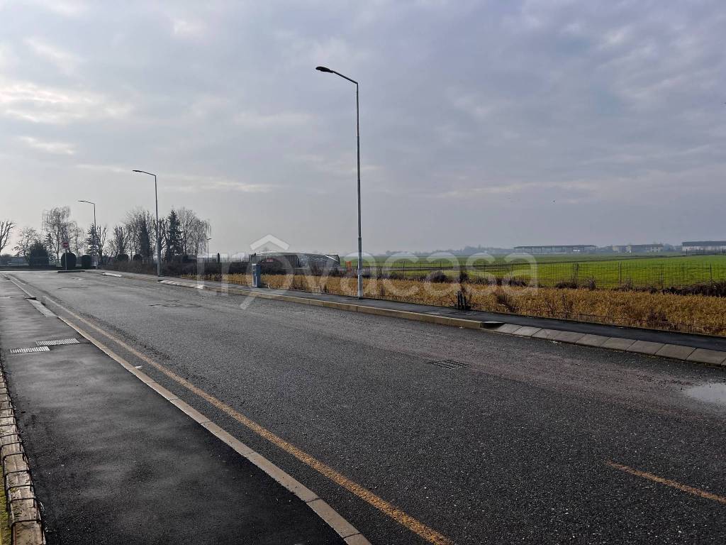 immagine annuncio 12 di 15