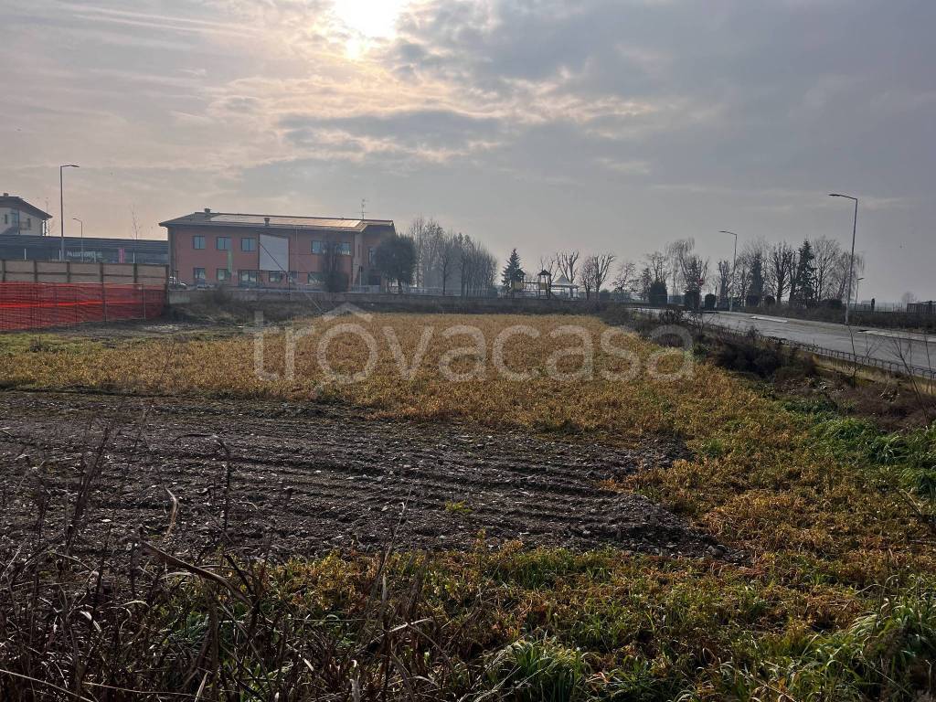 immagine annuncio 13 di 15