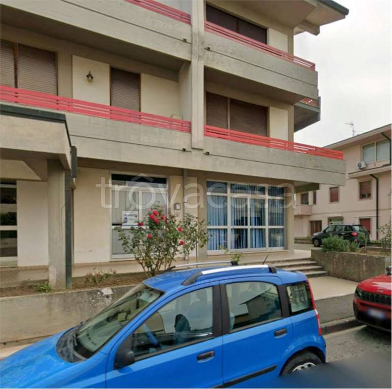 immagine annuncio 2 di 12