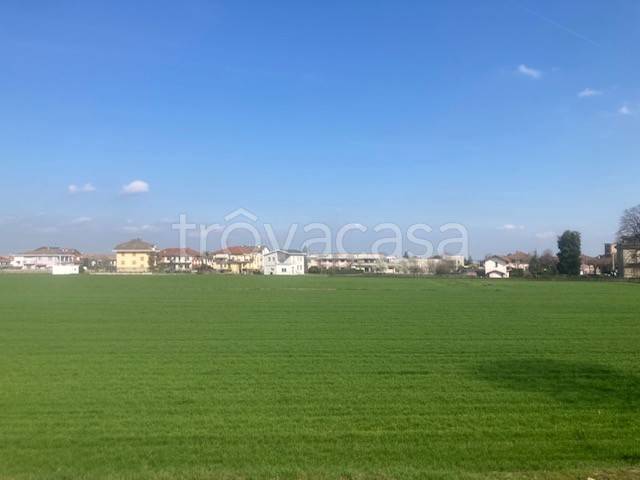 immagine annuncio 6 di 8