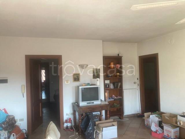 immagine annuncio 7 di 8