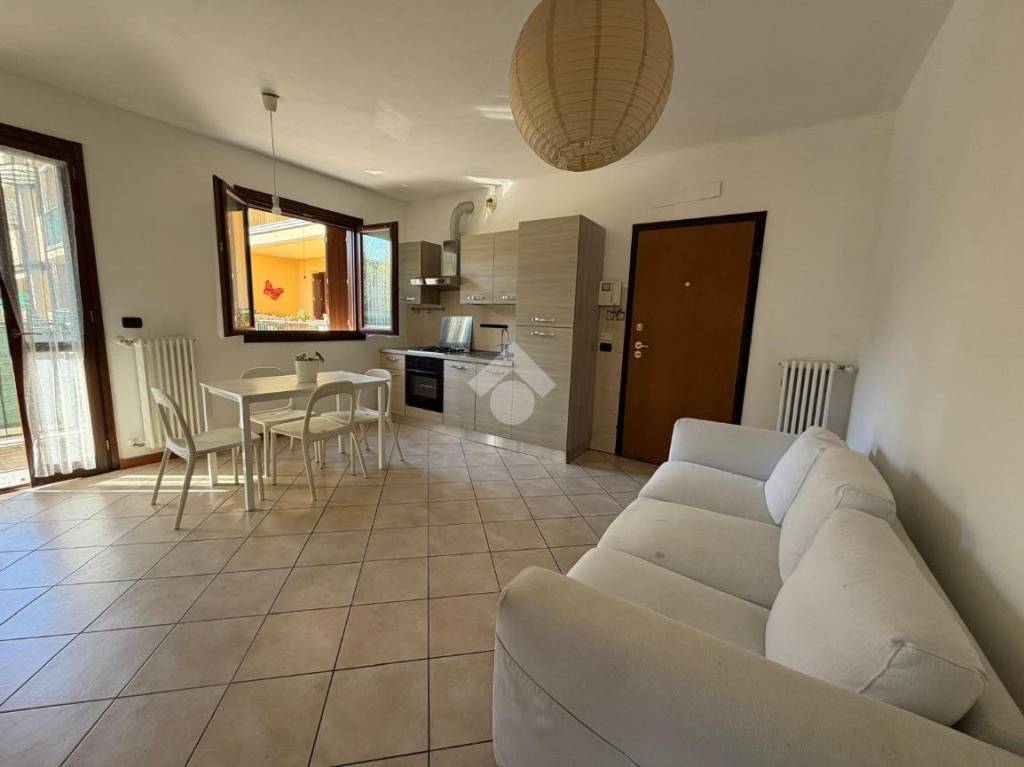 immagine annuncio 2 di 12