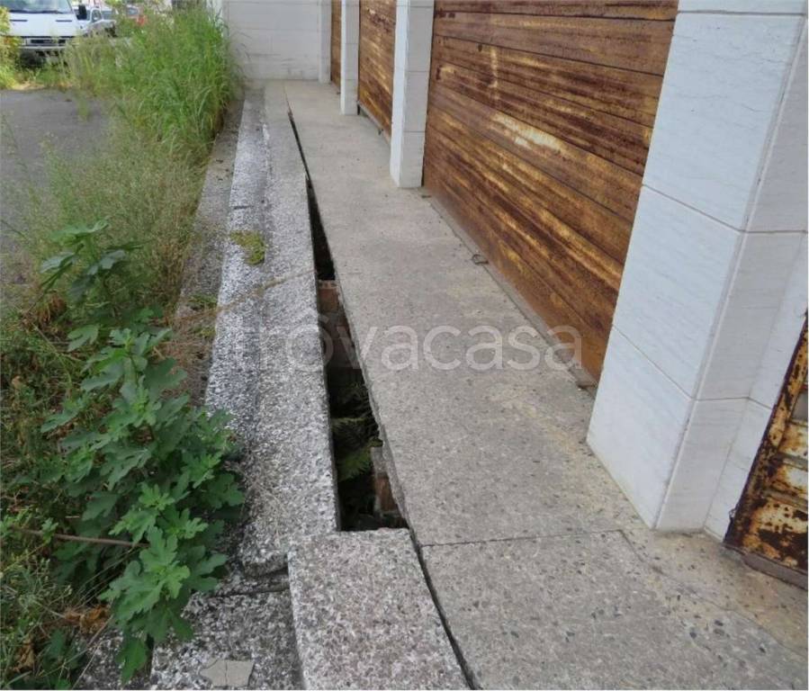 immagine annuncio 7 di 11