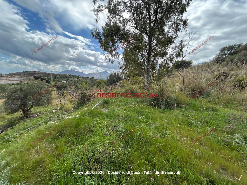 immagine annuncio 6 di 7