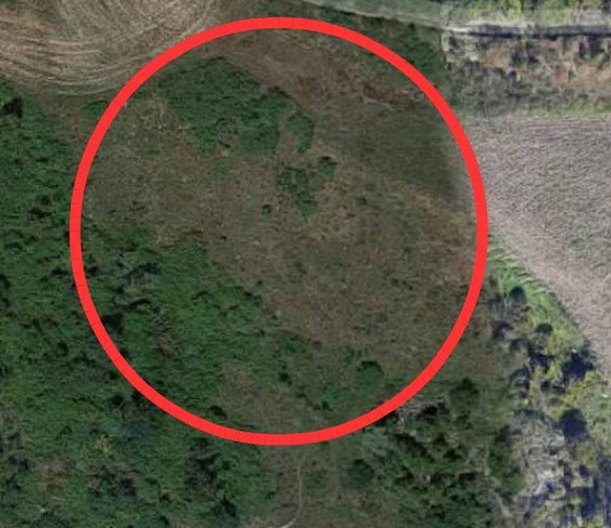 immagine annuncio 6 di 11