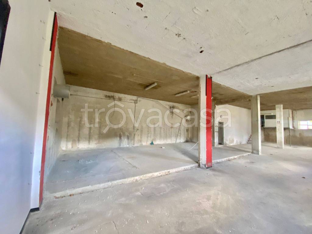 immagine annuncio 2 di 6