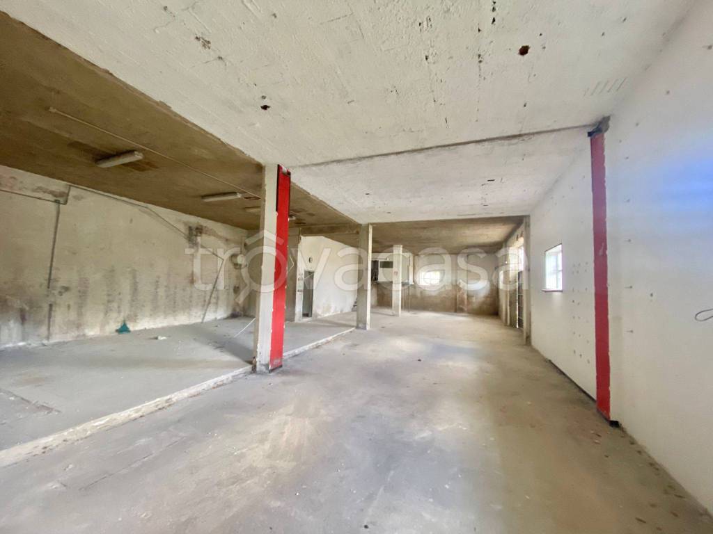 immagine annuncio 3 di 6