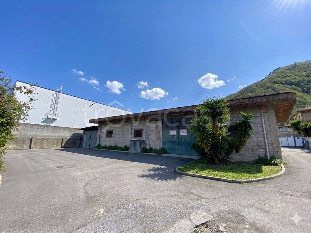 immagine annuncio 4 di 6