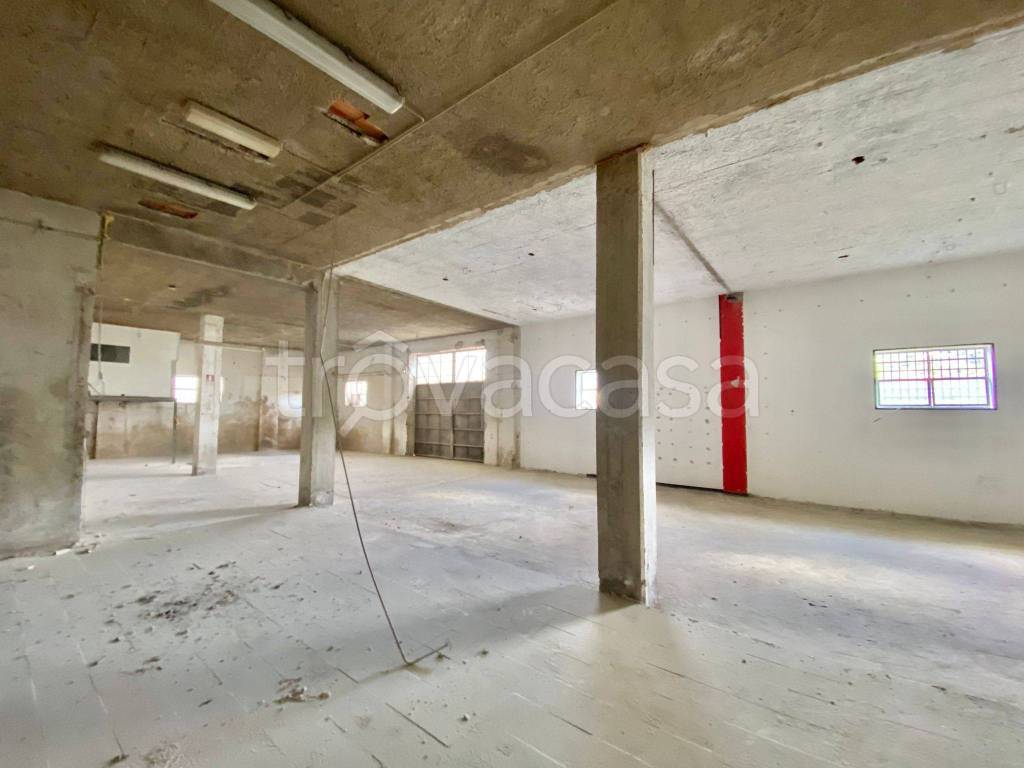 immagine annuncio 5 di 6