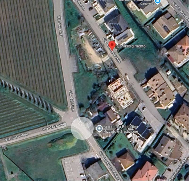 immagine annuncio 2 di 12