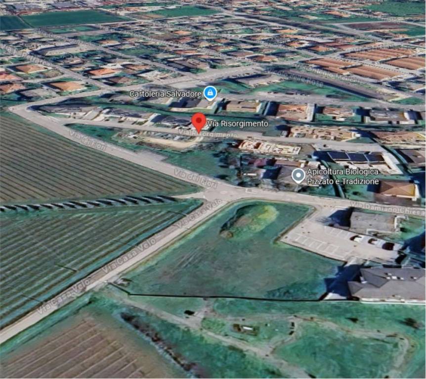 immagine annuncio 4 di 12